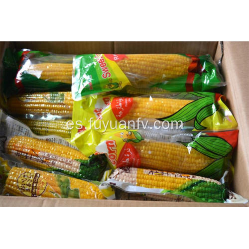 Nueva cosecha de maíz dulce 2019 con buen precio.